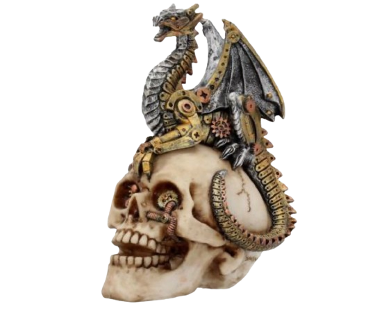 Dragons Grasp Skullhead