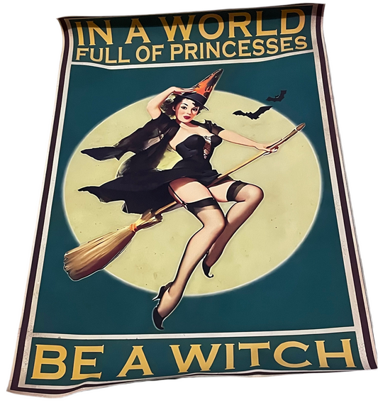 In a world full of Princesses be a witch canvas poster