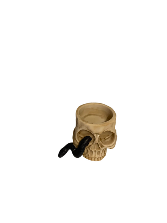 Skull and Snake candle holder