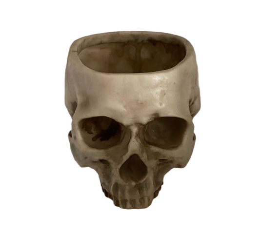 Skull bowl