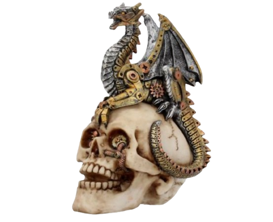 Dragons Grasp Skullhead