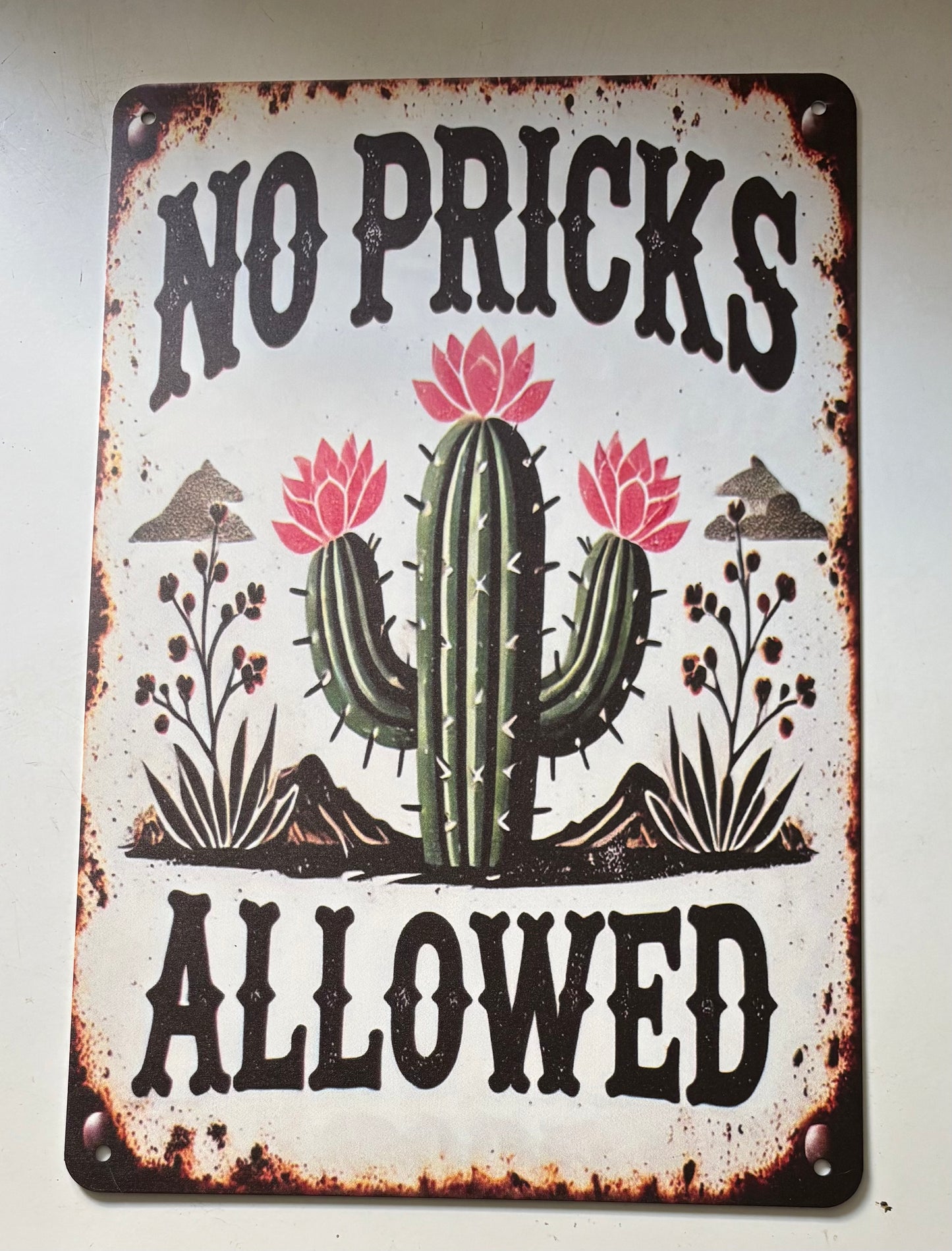 No pricks allowed sign