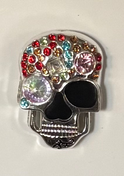 Crystal skull magnet