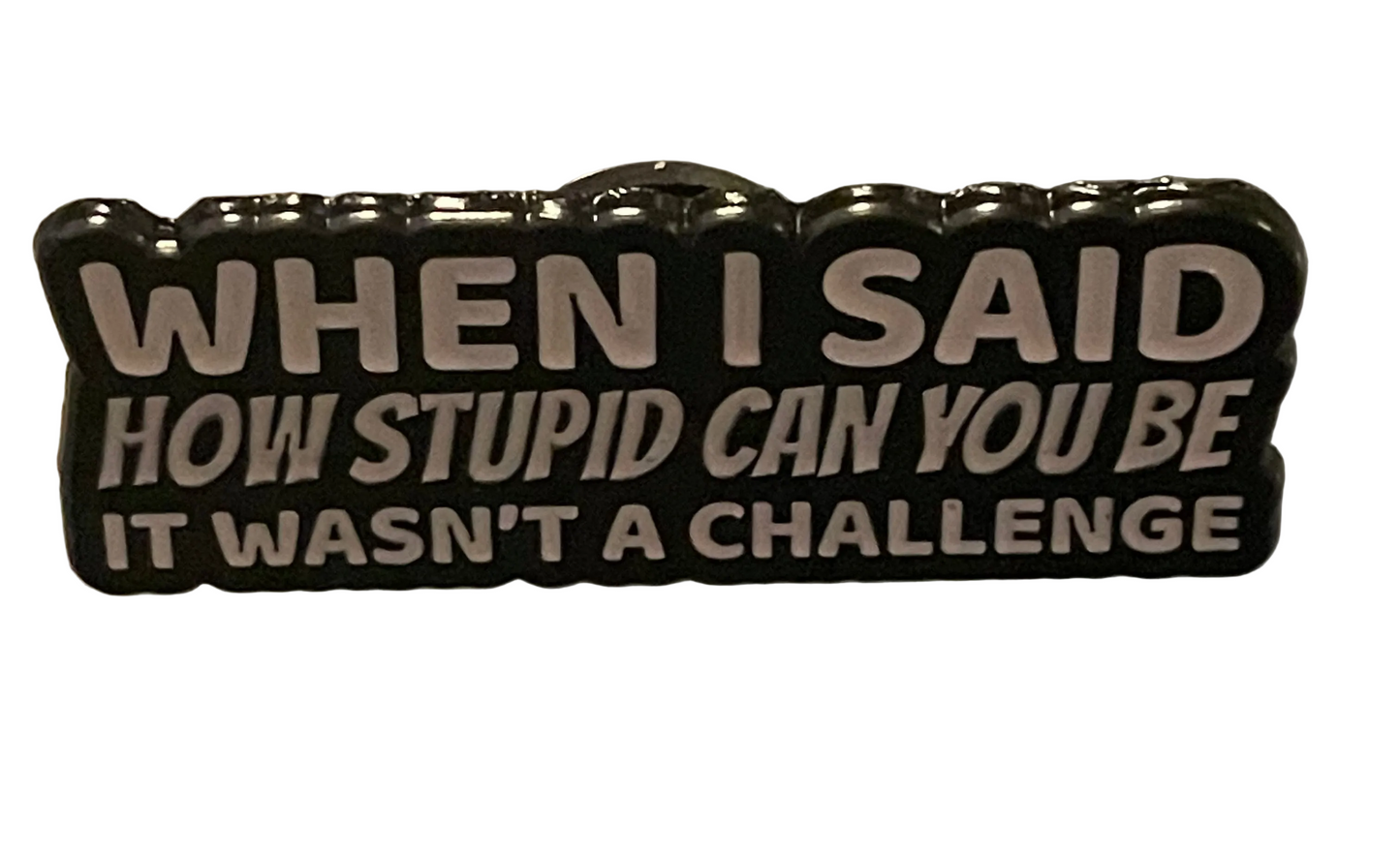 When I said how stupid can you be pin badge