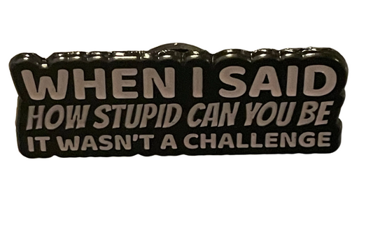 When I said how stupid can you be pin badge